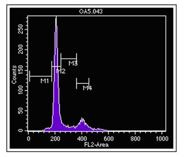 Imagen ciclo celular HepG2