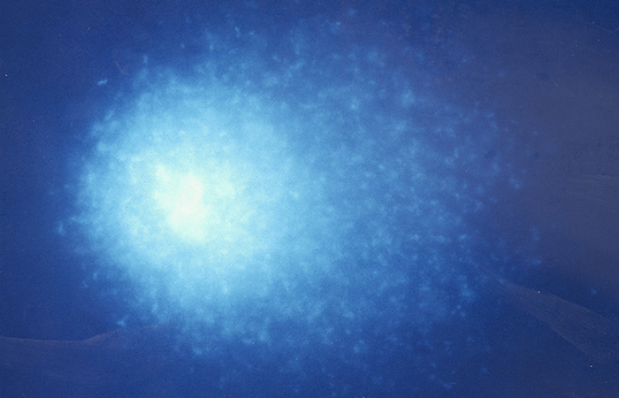 comet4