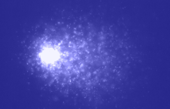 cometa color 3
